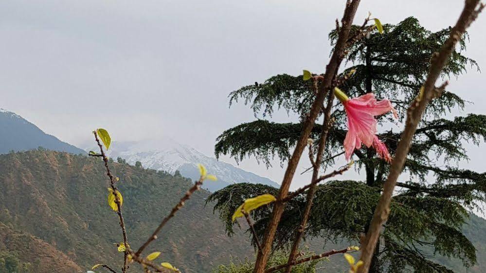 Mountain Villa Mcleodganj Дармсала Екстер'єр фото